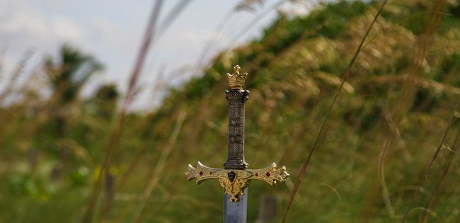 Cover image for I found myself between the sword and the wall. Should I be brave or wise?