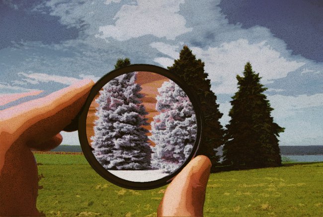 Cover image for Why everything is a lie.